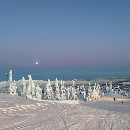 Topin Mestari Dom wakacyjny